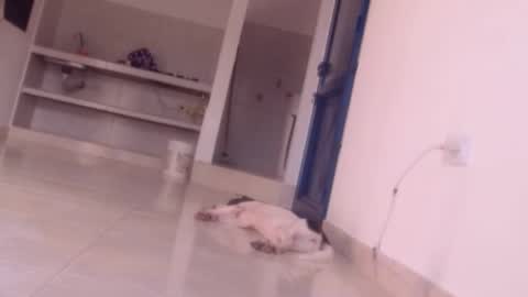 Snapshot of forbidden_games__ chatting on 12-27-24, 10:05 emely and felix online show from 12-27-24, 10:05