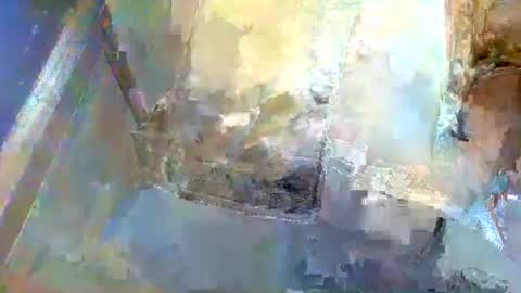 forest133 online show from 01-05-25, 01:36