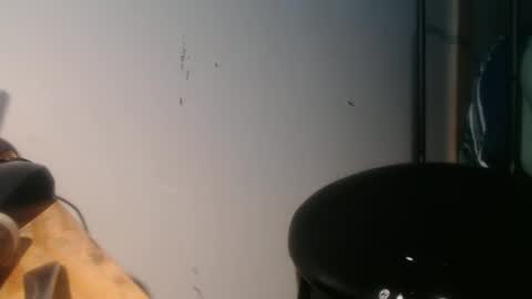 Snapshot of forestnymphpdx chatting on 01-30-25, 09:04 forestnymphpdx online show from 01-30-25, 09:04