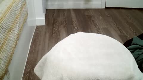 Snapshot of forestnymphpdx chatting on 10-19-25, 12:11 forestnymphpdx online show from 10-19-25, 12:11