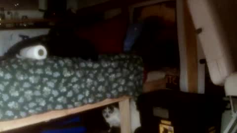 Snapshot of forestnymphpdx chatting on 11-14-25, 09:30 forestnymphpdx online show from 11-14-25, 09:30