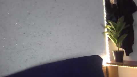 Snapshot of fox_red_lady7 chatting on 02-08-25, 08:42 fox_red_lady7 online show from 02-08-25, 08:42