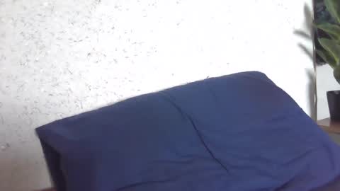 Snapshot of fox_red_lady7 chatting on 03-08-25, 08:11 fox_red_lady7 online show from 03-08-25, 08:11