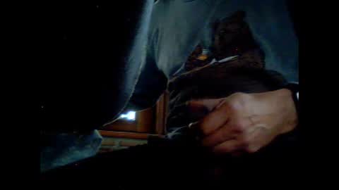 fra  71 online show from 03-08-26, 06:06