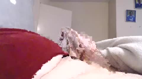 Snapshot of frankiel745 chatting on 12-09-24, 12:40 frankiel745 online show from 12-09-24, 12:40