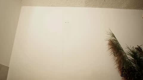 Snapshot of frecklesandjames chatting on 06-26-26, 12:53 frecklesandjames online show from 06-26-26, 12:53