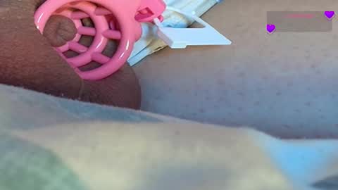 Meadow online show from 03-09-25, 09:35