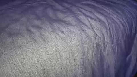 Snapshot of freythegemini chatting on 01-07-25, 03:46 FreyaTheGemini online show from 01-07-25, 03:46