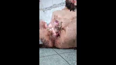 friendshipplus online show from 02-25-26, 07:40