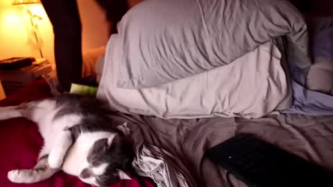 fuckmypussyplz1 online show from 02-03-25, 12:47