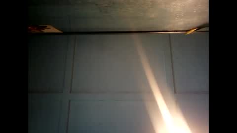 Warwick online show from 12-09-24, 11:24