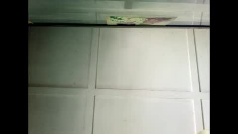 Warwick online show from 12-19-24, 02:56