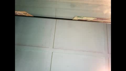 Warwick online show from 12-27-24, 11:42