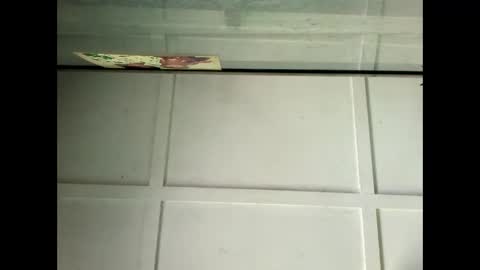 Warwick online show from 01-29-25, 04:05