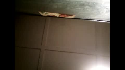 Warwick online show from 01-30-25, 11:01