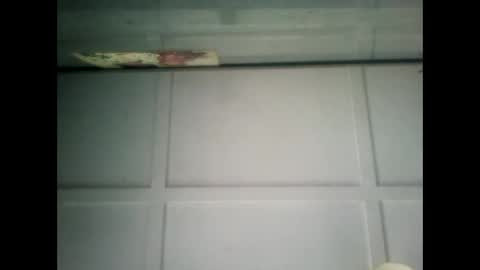 Warwick online show from 02-01-25, 07:15