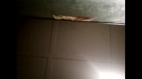 Warwick online show from 02-20-25, 11:20