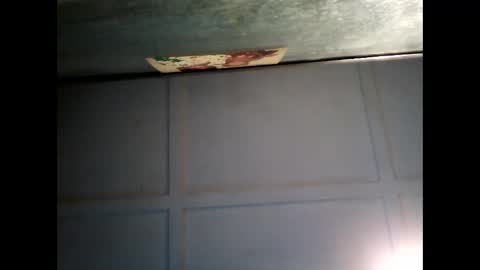 Warwick online show from 02-22-25, 07:56