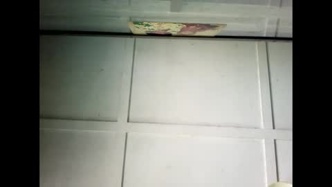 Warwick online show from 02-24-25, 01:02