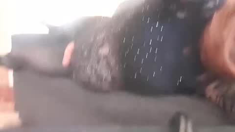 Pizzaz online show from 12-29-24, 02:17