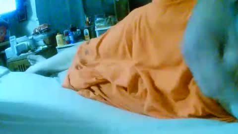 fultonstreet196860 online show from 11-24-25, 02:22