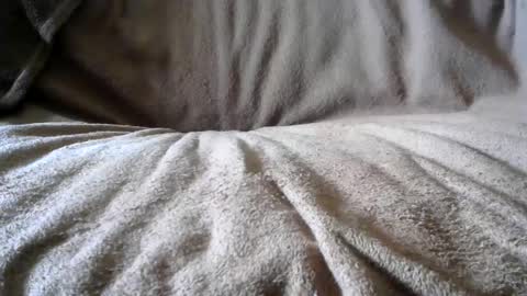 Snapshot of funguy4558 chatting on 02-24-25, 06:58 BigLoadsJoe online show from 02-24-25, 06:58