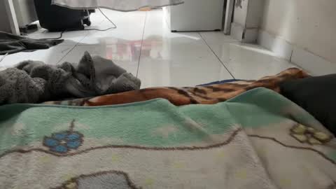 gab021593 online show from 01-08-26, 01:57