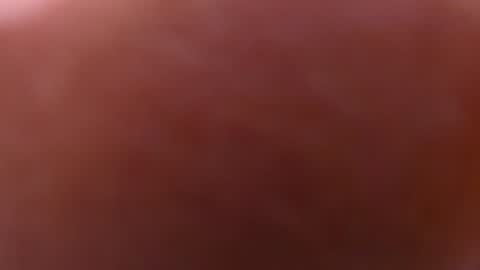 Snapshot of gabriela_leone chatting on 12-12-24, 01:53 gabriela online show from 12-12-24, 01:53