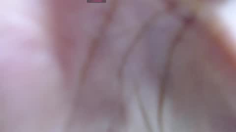 .  online show from 12-12-24, 05:31