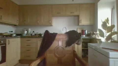 galacx online show from 02-21-25, 04:48