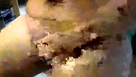 Stutzen online show from 09-17-25, 08:05