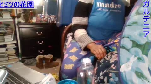 Gardenia online show from 12-24-24, 05:13