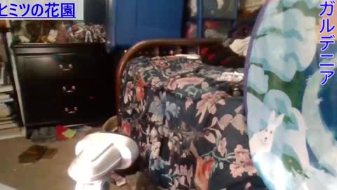 Gardenia online show from 12-28-24, 05:55