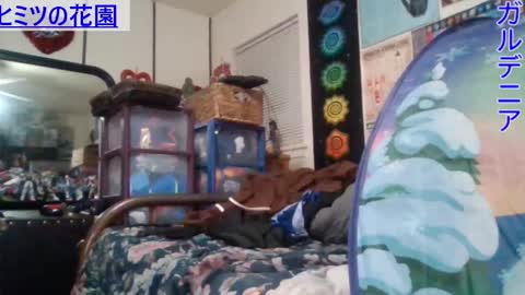 Gardenia online show from 01-29-25, 08:51