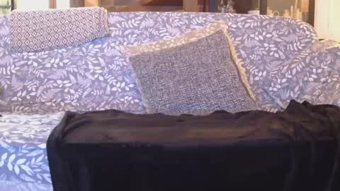 Snapshot of garybaker60 chatting on 01-01-25, 08:47 Gaz online show from 01-01-25, 08:47