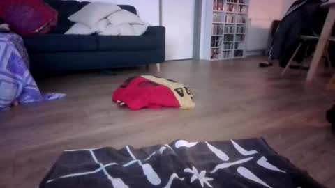 gaypuppychaste online show from 12-23-25, 04:32