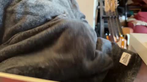 geezerblokeii online show from 12-02-24, 09:13