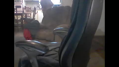 gerabo online show from 03-09-25, 04:05