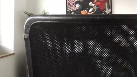 german3003 online show from 10-28-25, 09:46