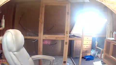 germany_50 online show from 09-20-25, 06:36