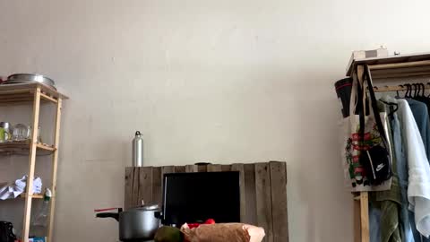 Snapshot of gerson229 chatting on 01-06-26, 04:11 gerson229 online show from 01-06-26, 04:11