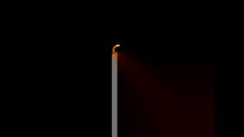 Snapshot of gerson229 chatting on 01-14-26, 12:11 gerson229 online show from 01-14-26, 12:11