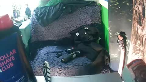 Snapshot of getfucked321jake chatting on 01-16-25, 12:31 getfucked321jake online show from 01-16-25, 12:31