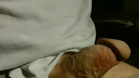 Snapshot of gettingstiff chatting on 12-01-25, 01:38 gettingstiff online show from 12-01-25, 01:38