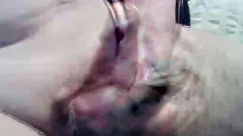 ghost1805 online show from 09-15-25, 09:04