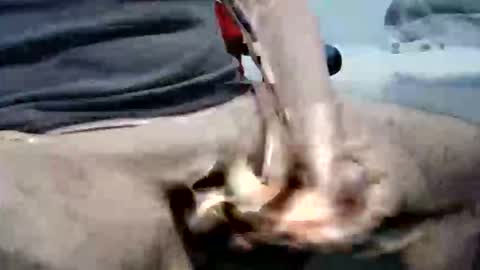 ghost1805 online show from 10-06-25, 10:29