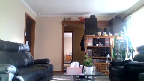 gimmmieoooo online show from 03-01-25, 07:41