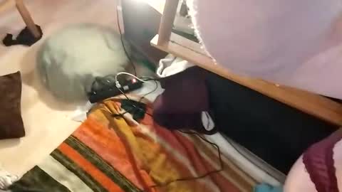 Tumnusus online show from 02-27-25, 07:55