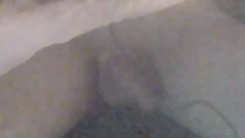 lovegirlscallme online show from 01-12-26, 09:09