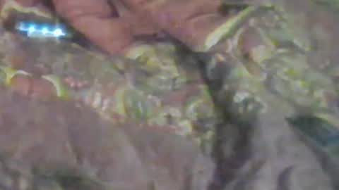 lovegirlscallme online show from 01-17-26, 08:52